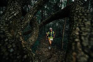 BIB: 
                            <button type="button" onclick="openModal(25692004)" class="btn btn-primary btn-sm float-right btn-popup" data-toggle="modal" data-target=".modal-high-quality">
                        <i class="fas fa-shopping-cart"></i> Add to Cart
                    </button>
                                            <button type="button" onclick="isThisMe(25692004, true)" class="btn btn-success btn-sm float-right btn-popup btn-isme hidden" data-toggle="tooltip" data-placement="bottom" title="นี่คือรูปของคุณใช่ไหม คลิกที่นี่เพื่อเอาเข้าอัลบั้ม">
                        <i class="fas fa-plus"></i> Add to album
                    </button>
                    <button type="button" onclick="isThisMe(25692004, false)" class="btn btn-warning btn-sm float-right btn-popup btn-isnotme hidden">
                        <i class="fas fa-ban"></i> Remove from album
                    </button>